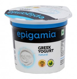 Epigamia Green Yogurt Natural   90 grams